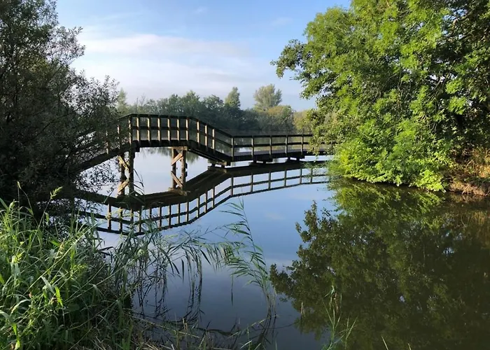 펜션 557 Op Recreatiepark De Wielen *