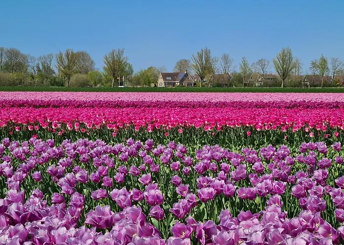 펜션 557 Op Recreatiepark De Wielen *