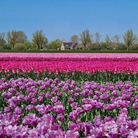 度假居 557 Op Recreatiepark De Wielen *